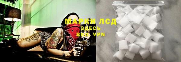 ешки Медногорск